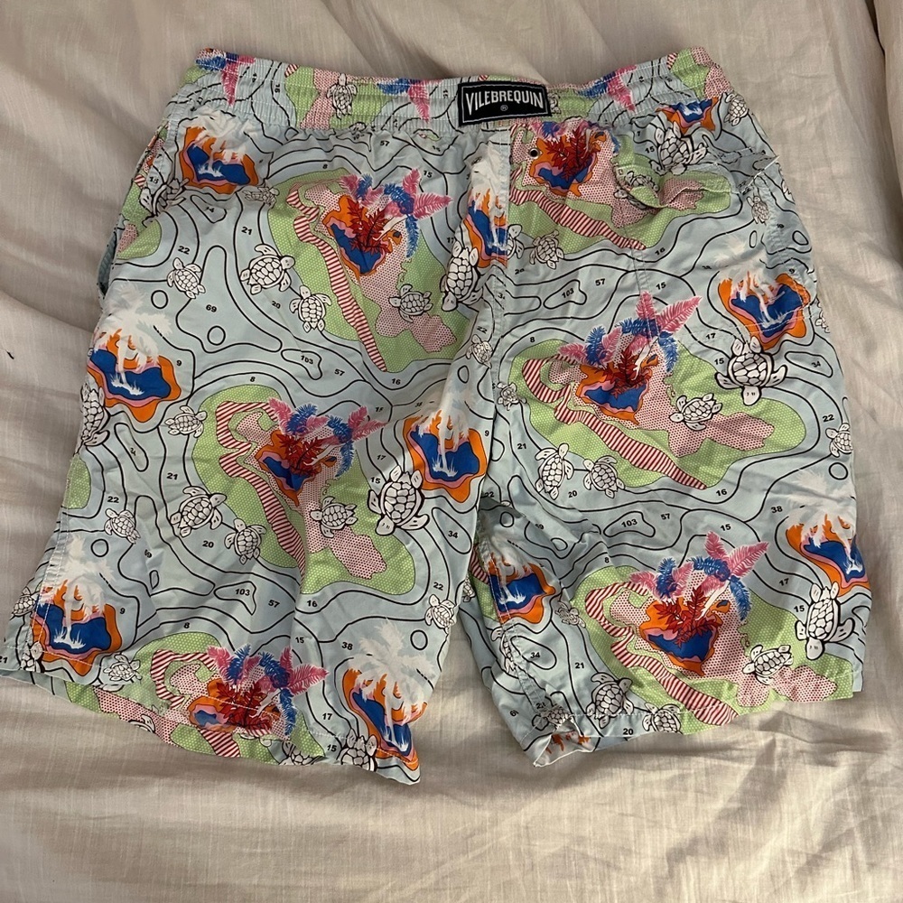 Vilebrequin Swim Short Paint By Number Print (M6)